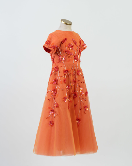Picture of PERSIMMON GOWN