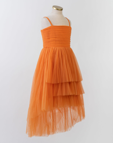 Picture of PERSIMMON GOWN