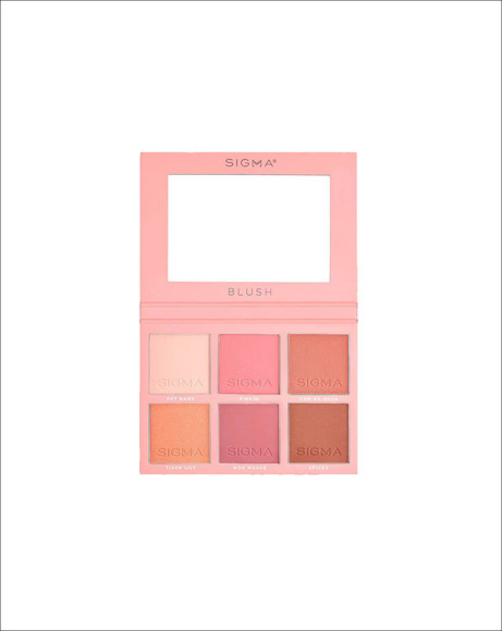 Picture of BLUSH CHEEK PALETTE