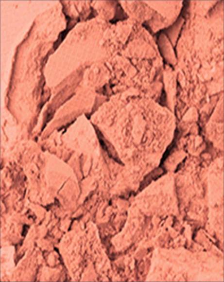 Picture of PRESSED BLUSH -  PEONY