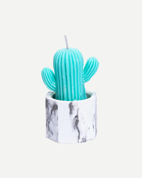 Picture of SUCCULENT CANDLE
